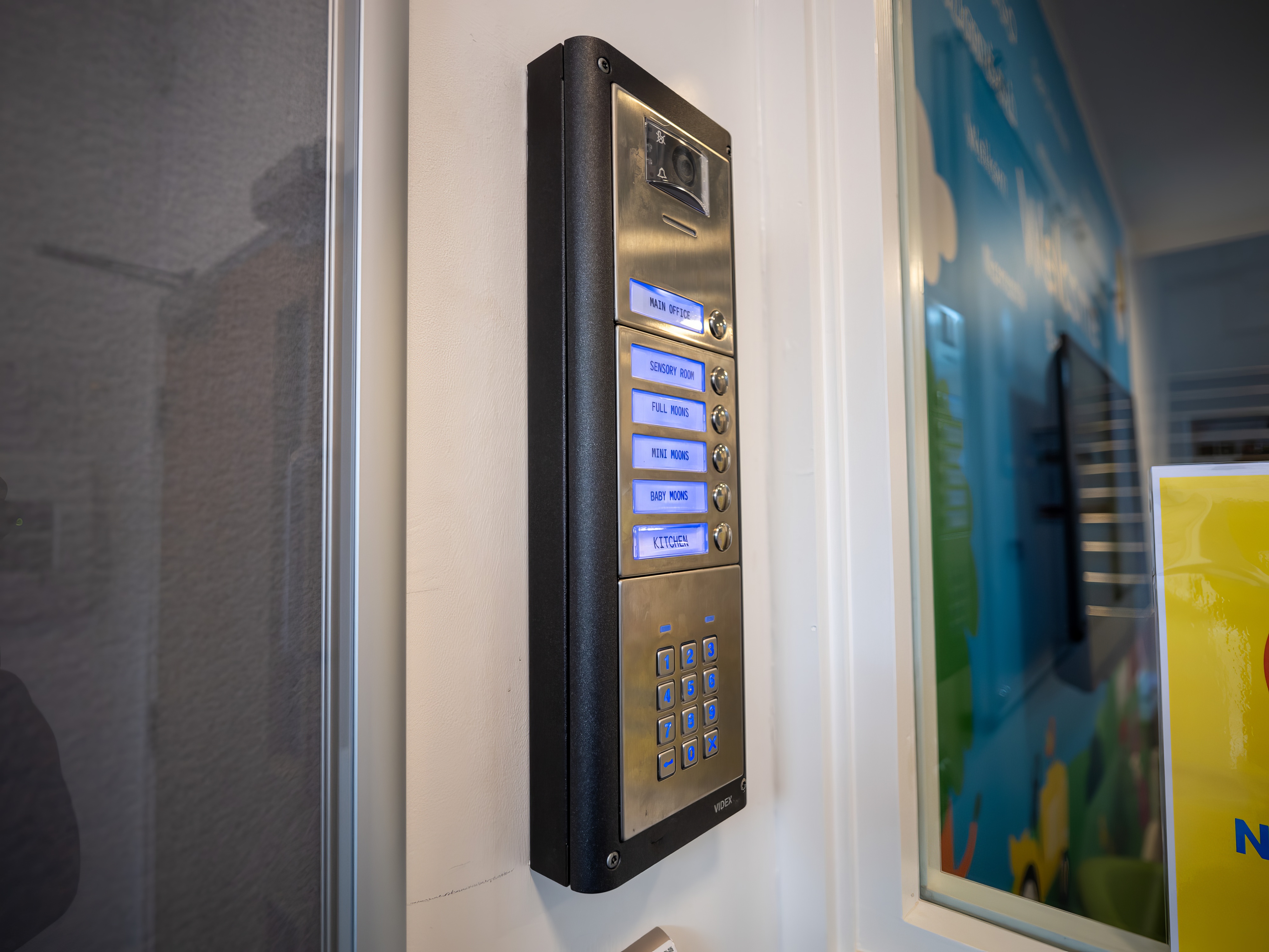 Videx Camera Entry System